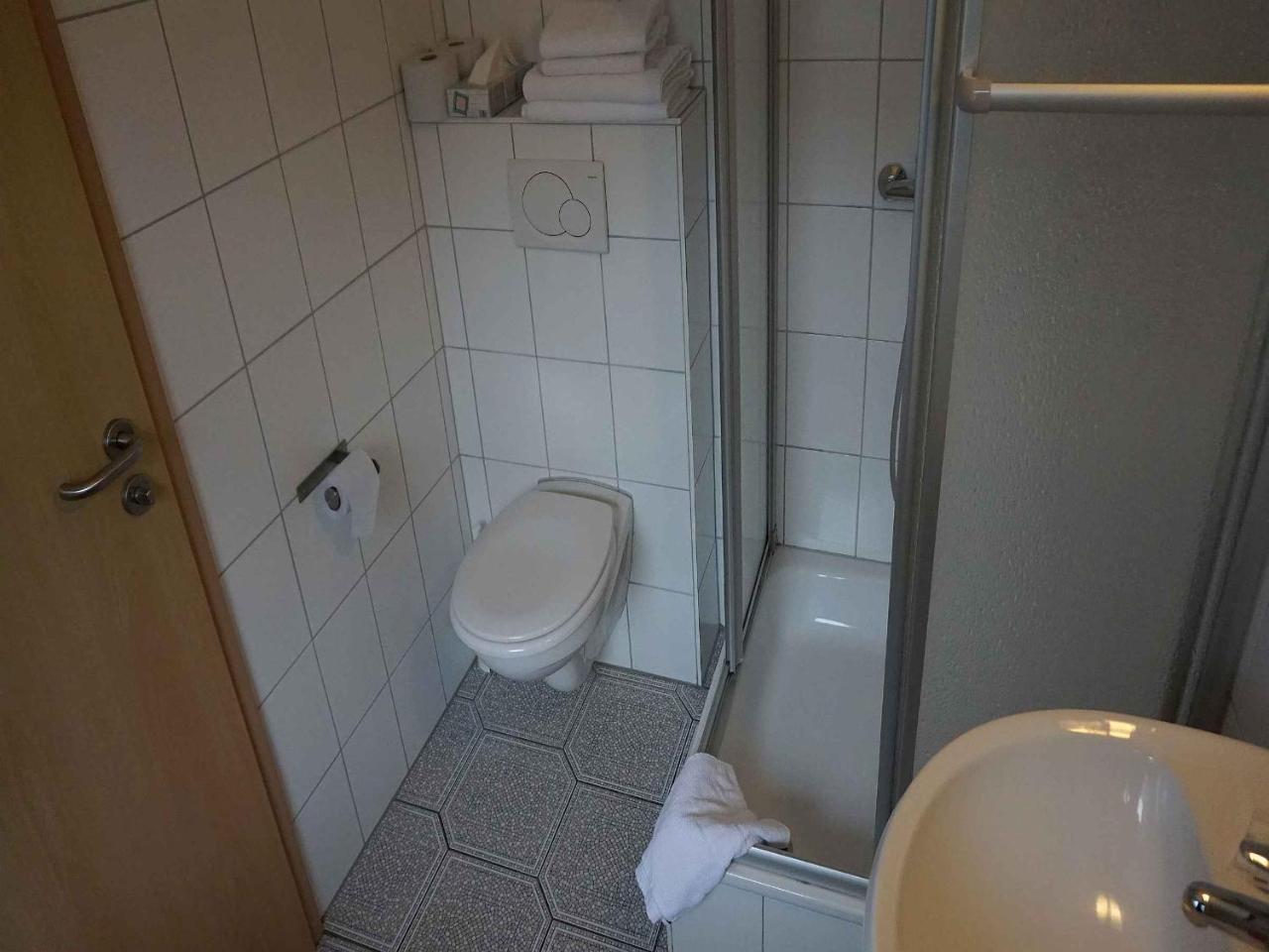 Hotel-Pension Goldene Krone Fribourg im Breisgau Extérieur photo
