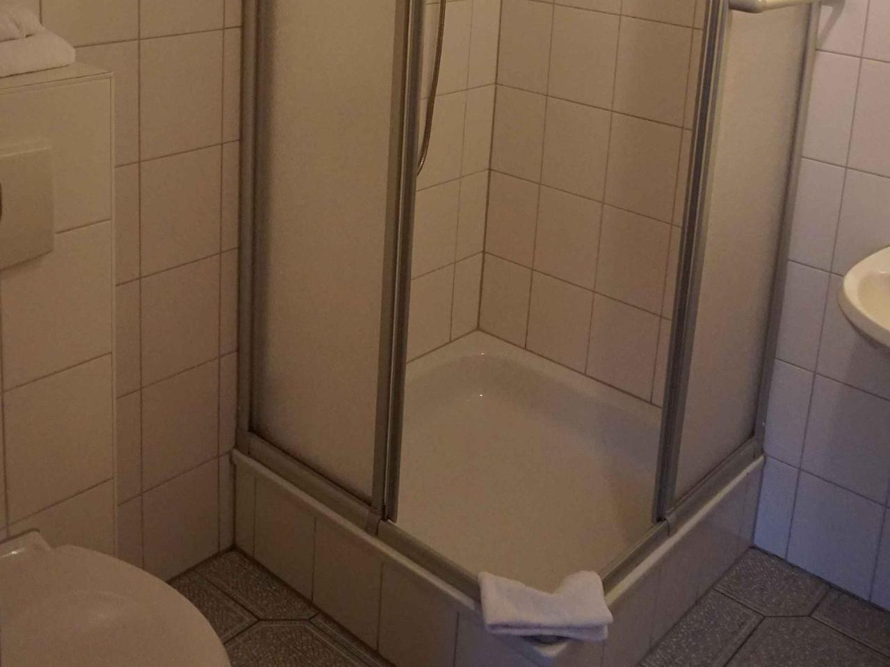 Hotel-Pension Goldene Krone Fribourg im Breisgau Extérieur photo